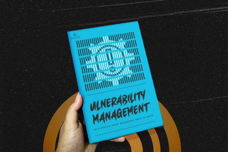 vulnerability-management-as-a-service-businesses