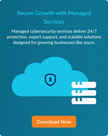How Managed Cybersecurity Services Help