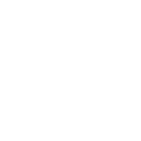 Digital Forensic Icon