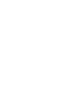 SecurityImmaturity-icn
