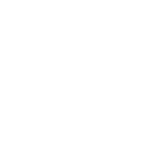 Pentesting Icon
