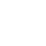 Remote access vulnerabilities icon