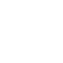 Vulnerability Assessment Icon