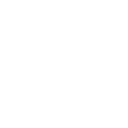 Industry Expert