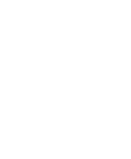 securityskill-icn